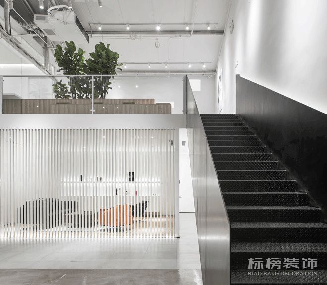 辦公室植物擺放植物有哪些，怎么擺放比較好？